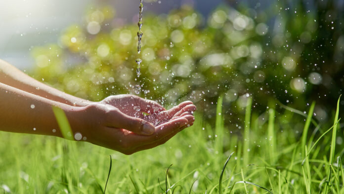 importanza dell'acqua